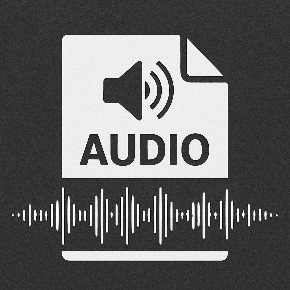 a symbol for a speaker with the word "Audio" and an image of a soundwave.